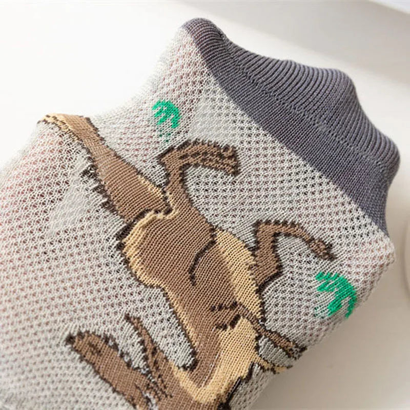 5 Pairs Boy's Dinosaur Pattern Socks