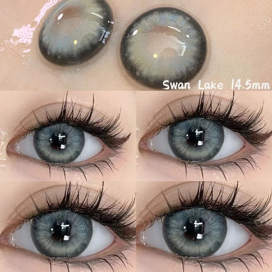 Contact Lenses