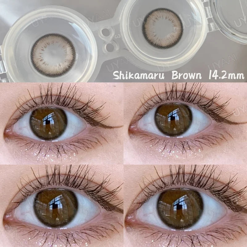 Contact Lenses